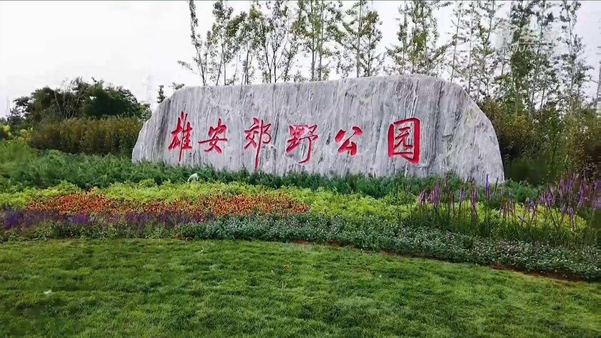 赢多多电气雄安郊外公园建设工程及配套设施项目